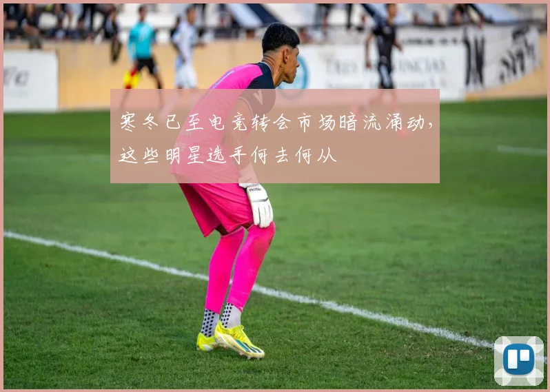 寒冬已至电竞转会市场暗流涌动，这些明星选手何去何从